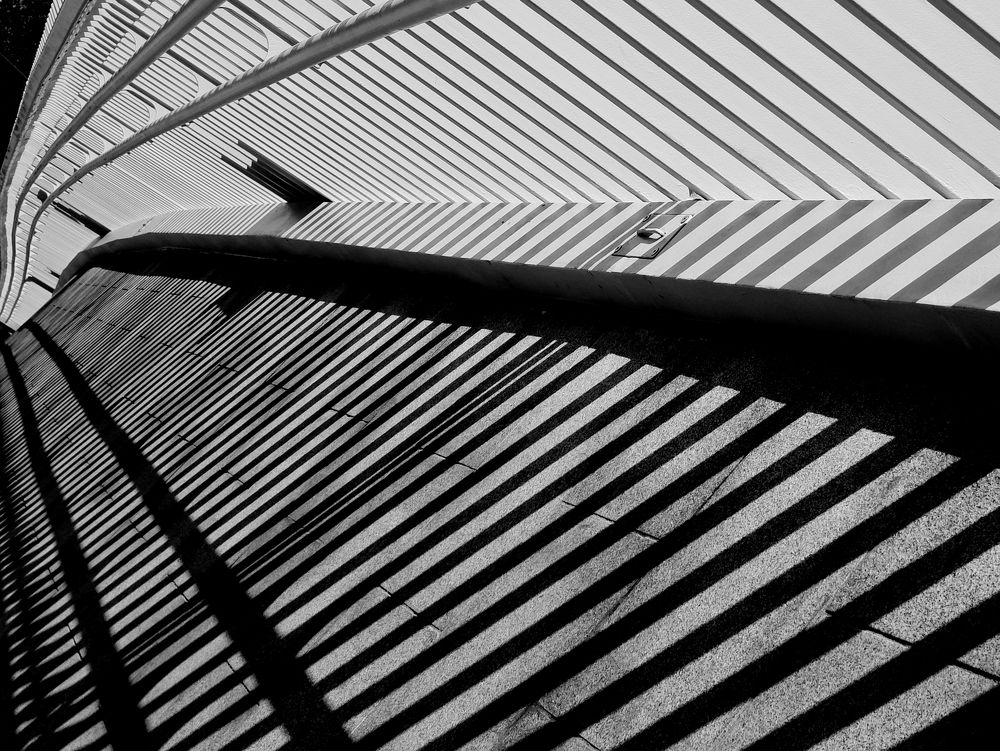 Photograph by Зорин Миша