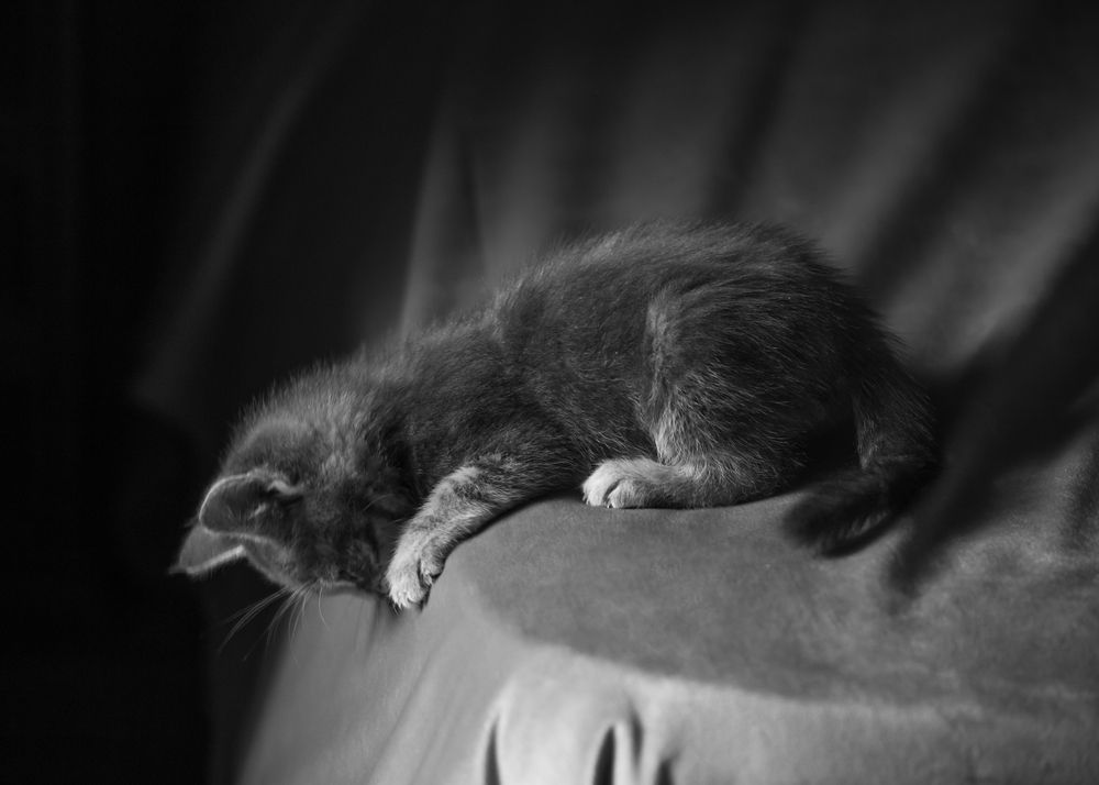 Photograph by Сергей Алексеев