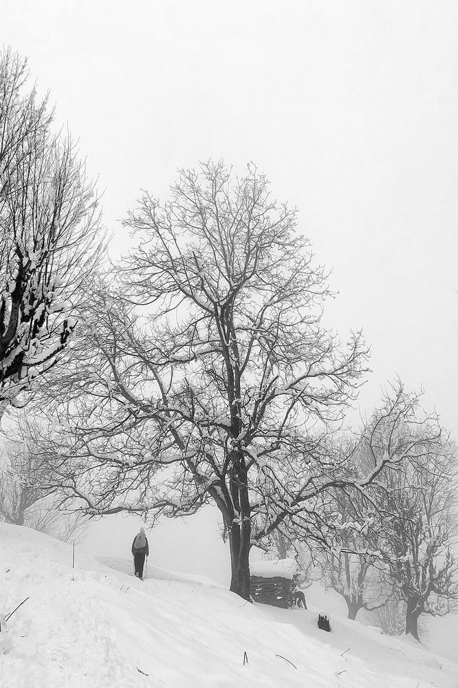 Photograph by Fatane