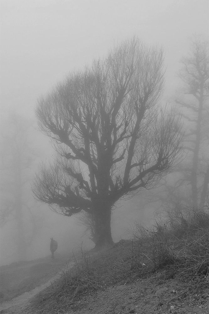 Photograph by Fatane