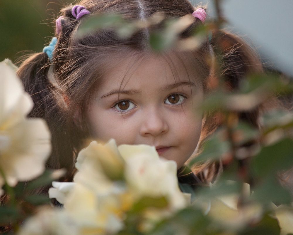 Photograph by Александр Остапчук