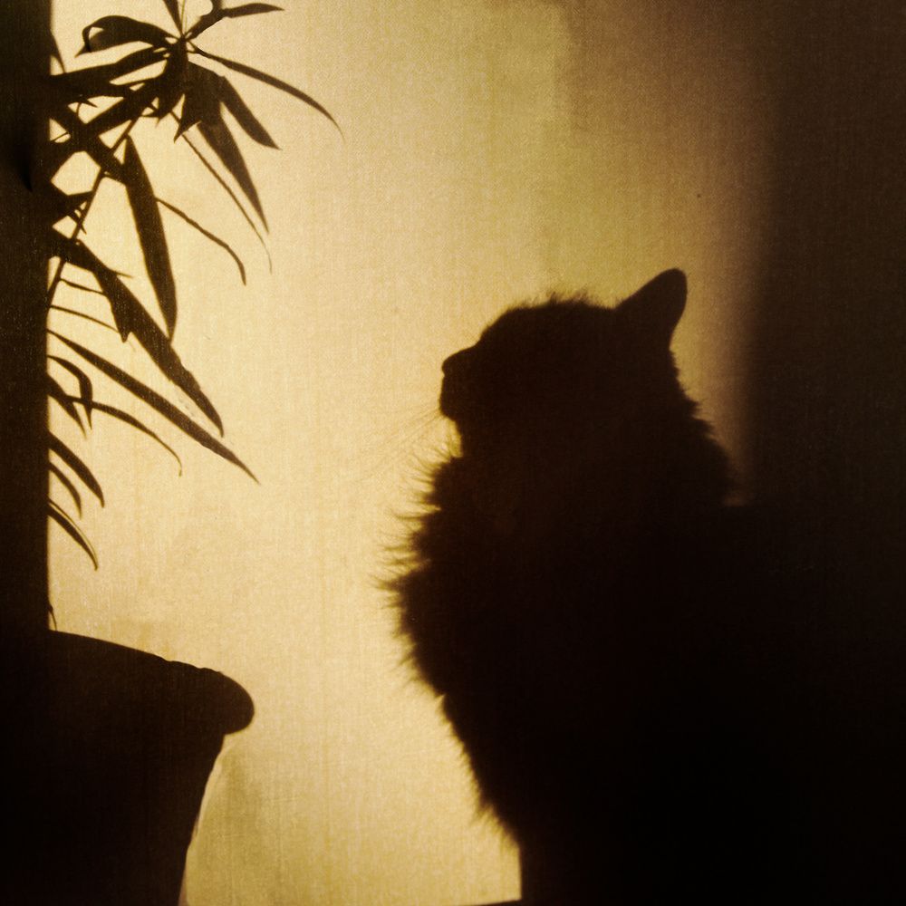 Фотография автора Людмила Прокофьева