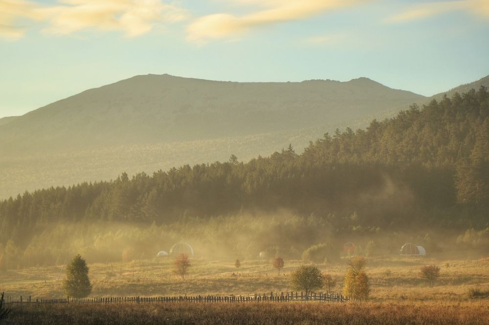 Фотография автора Анатолий Нифантов