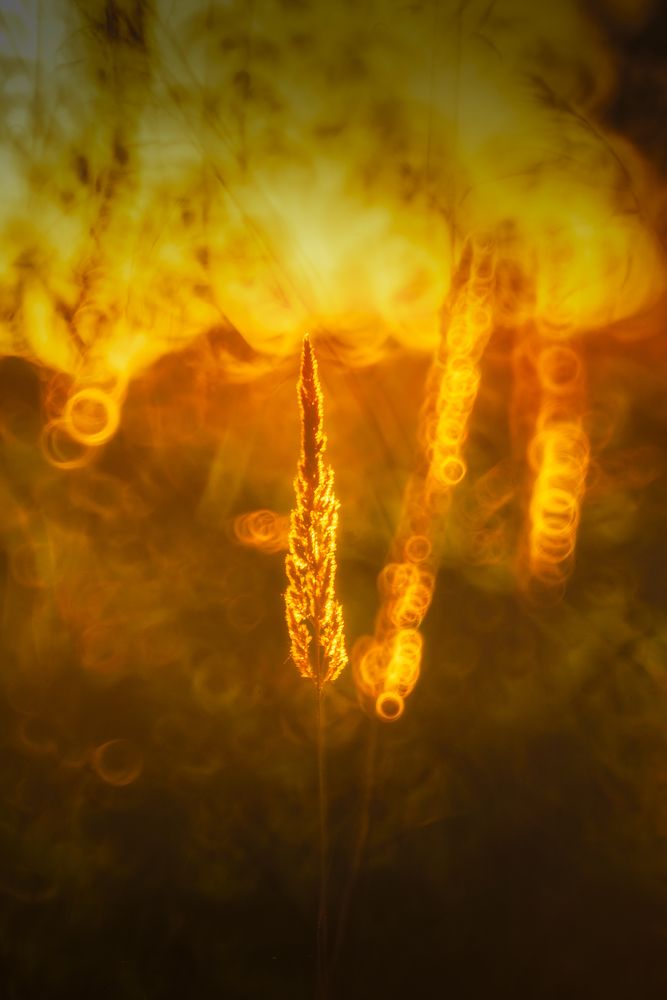 Photograph by Budyta Dariusz