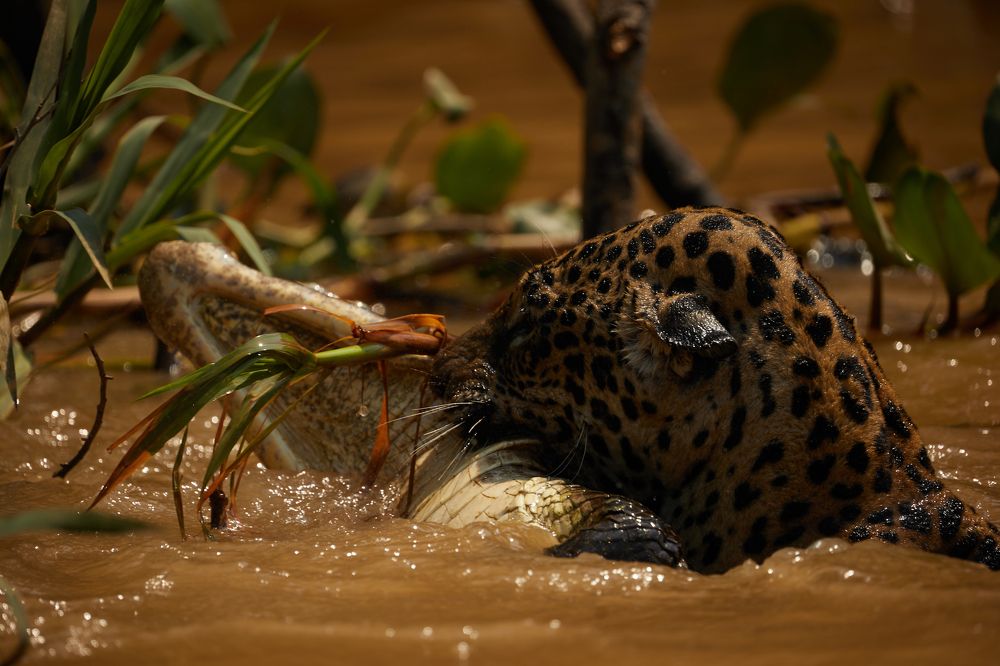 Фотография автора Boris Konovalov