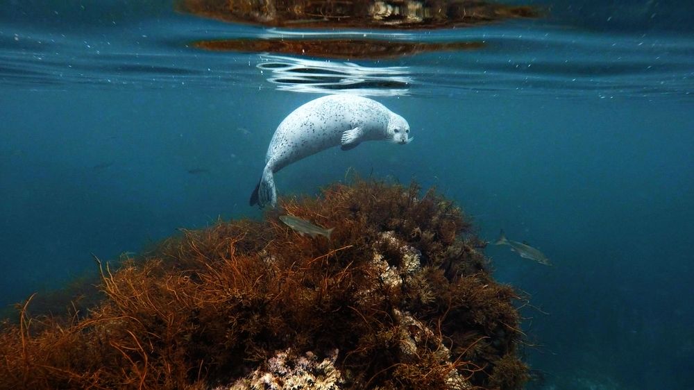 Фотография автора Lyudmila Yakovleva