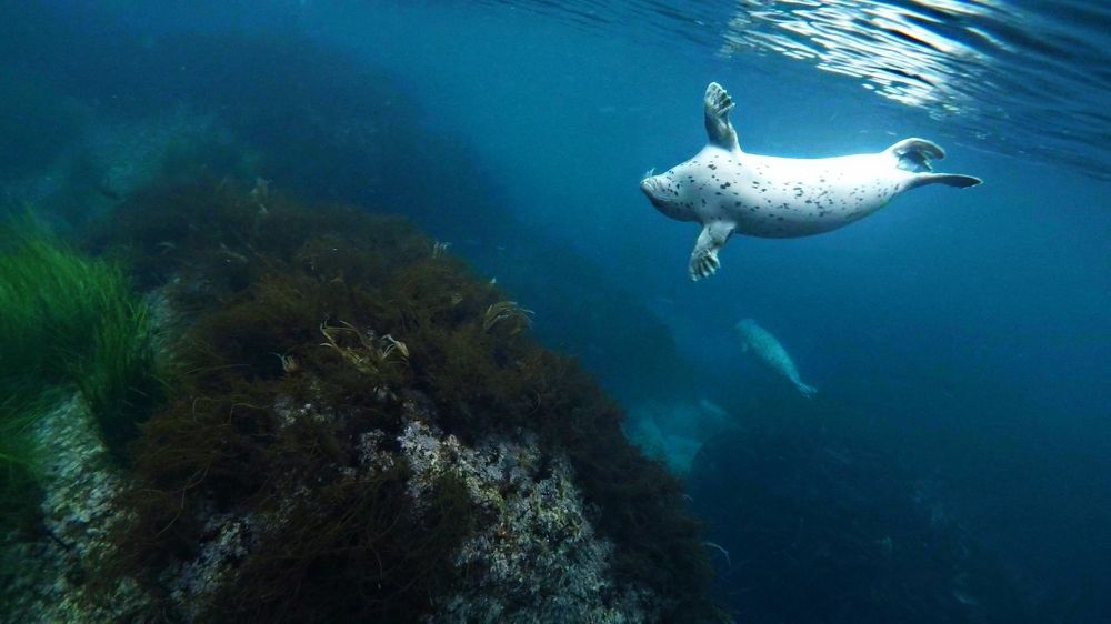Фотография автора Lyudmila Yakovleva