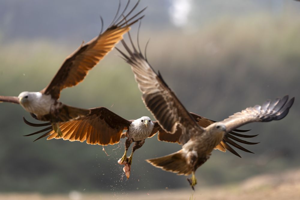 Slow and steady wins the race