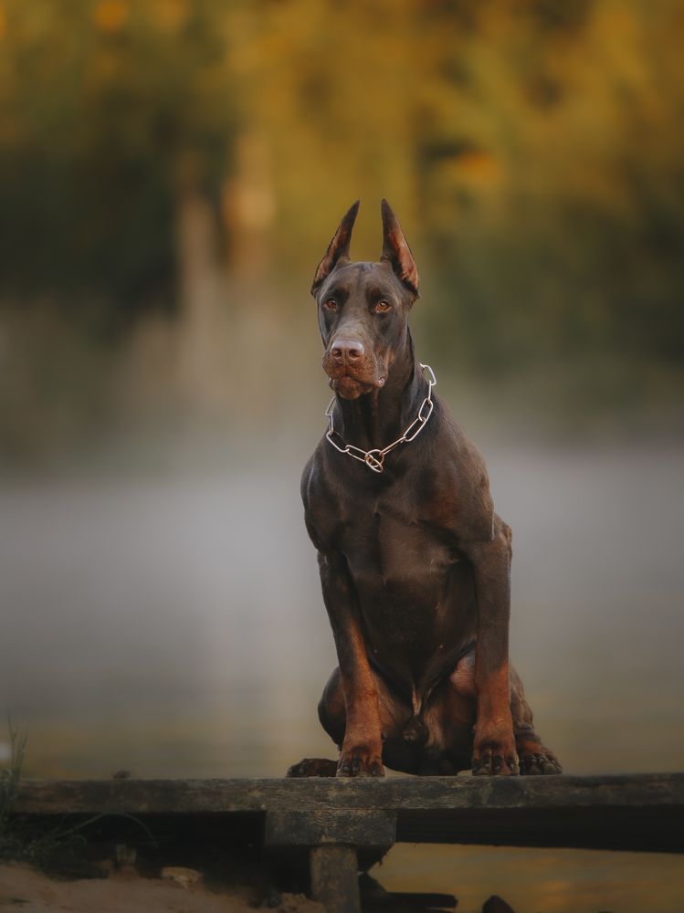 Photograph by Мария Клещенко