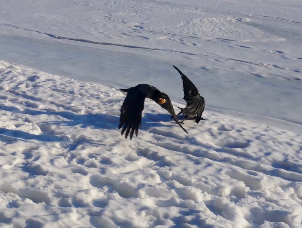 Photograph by Елена Жукова