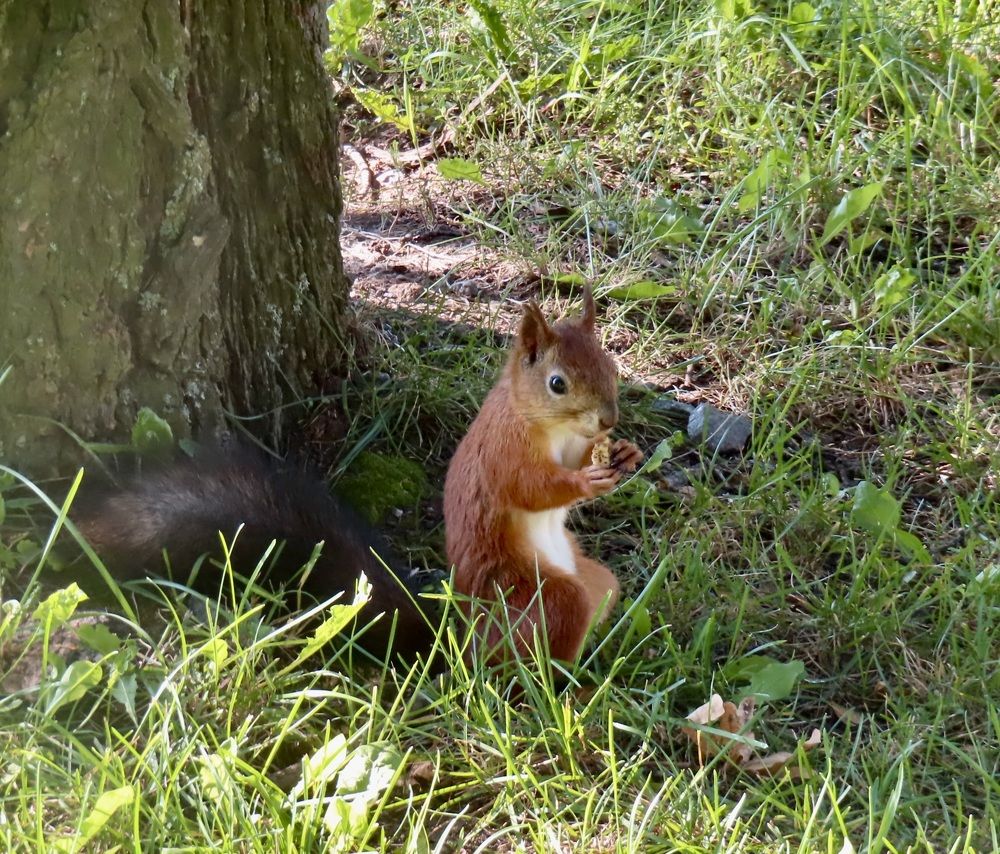 Photograph by Елена Жукова