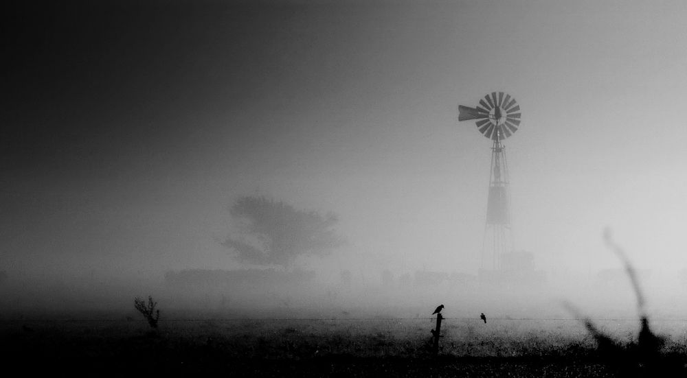 Photograph by Viviana García