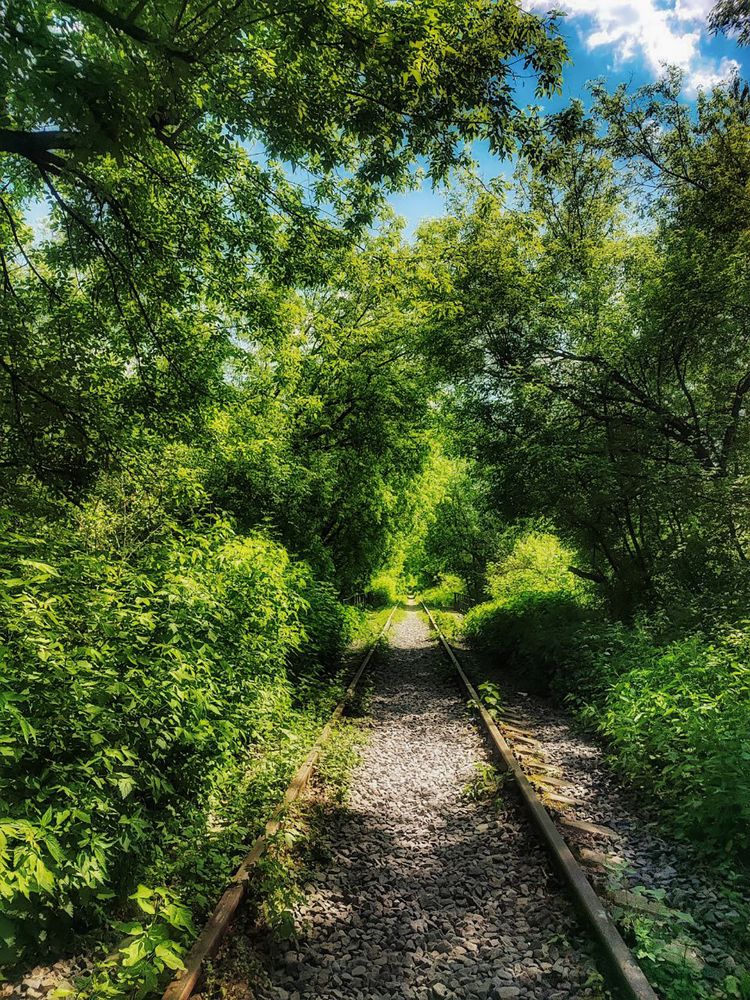 Photograph by Виктория Мамлеева