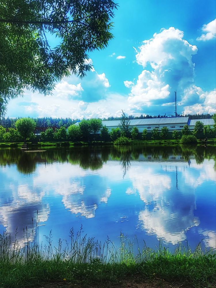 Photograph by Виктория Мамлеева