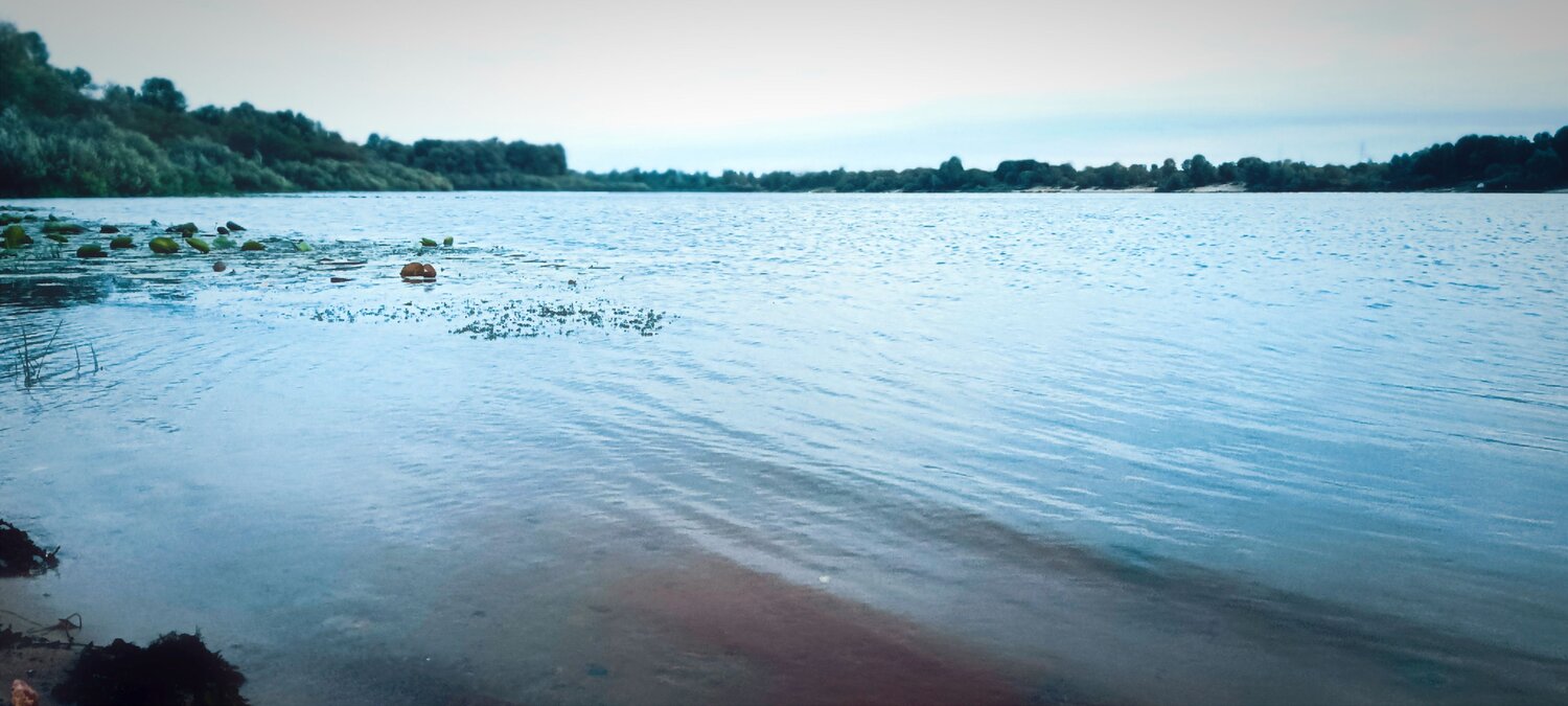 Photo #11029429