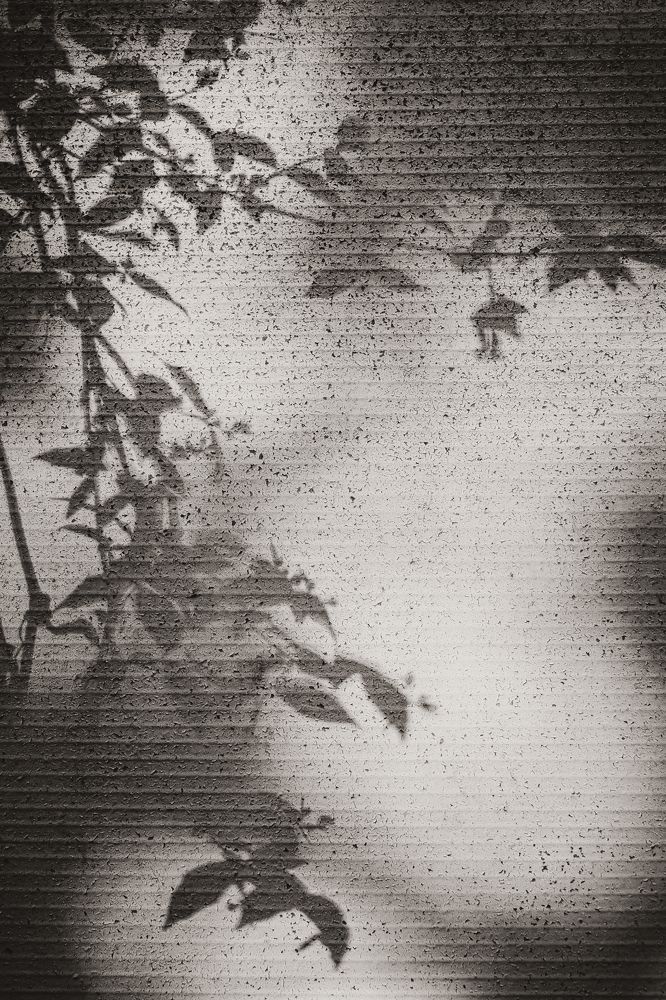 Photograph by Остапенко Алина