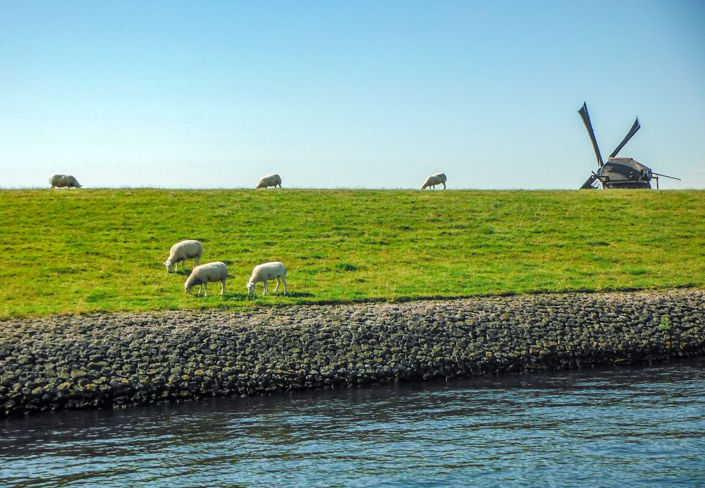 Фотография автора Chorche Prigo