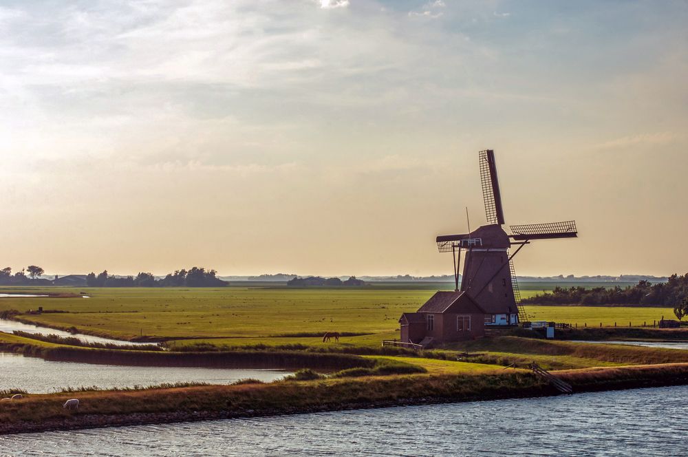 Фотография автора Chorche Prigo