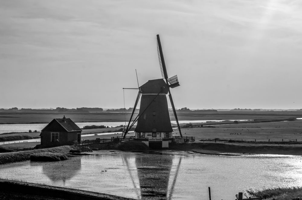 Фотография автора Chorche Prigo