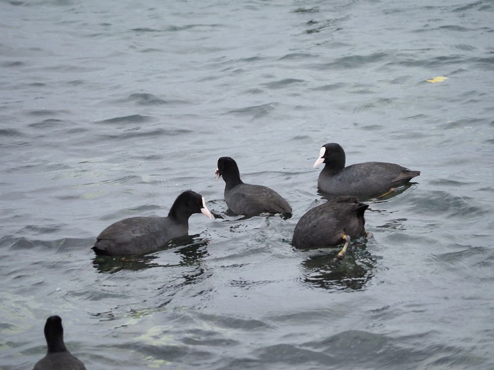 Photograph by Сергей Борисов