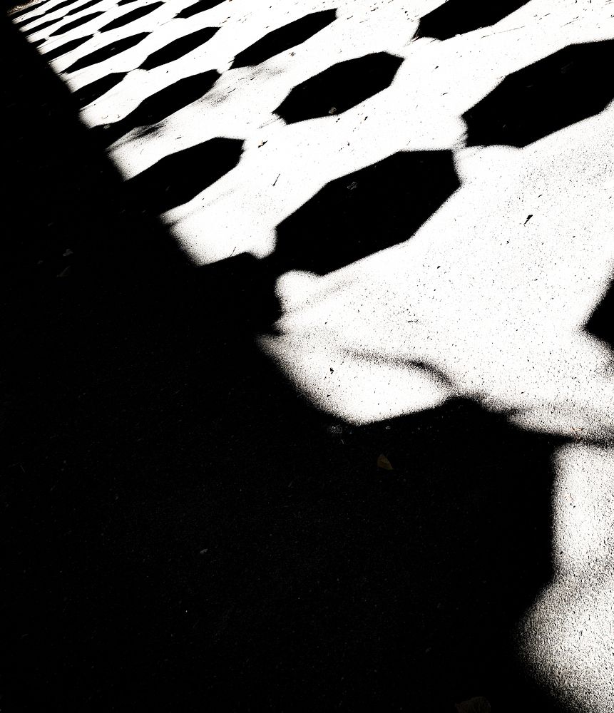 Photo #11029561