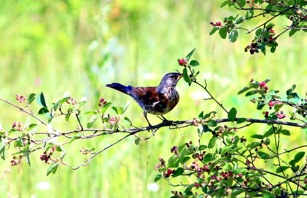 Photograph by Жанна Нечаева