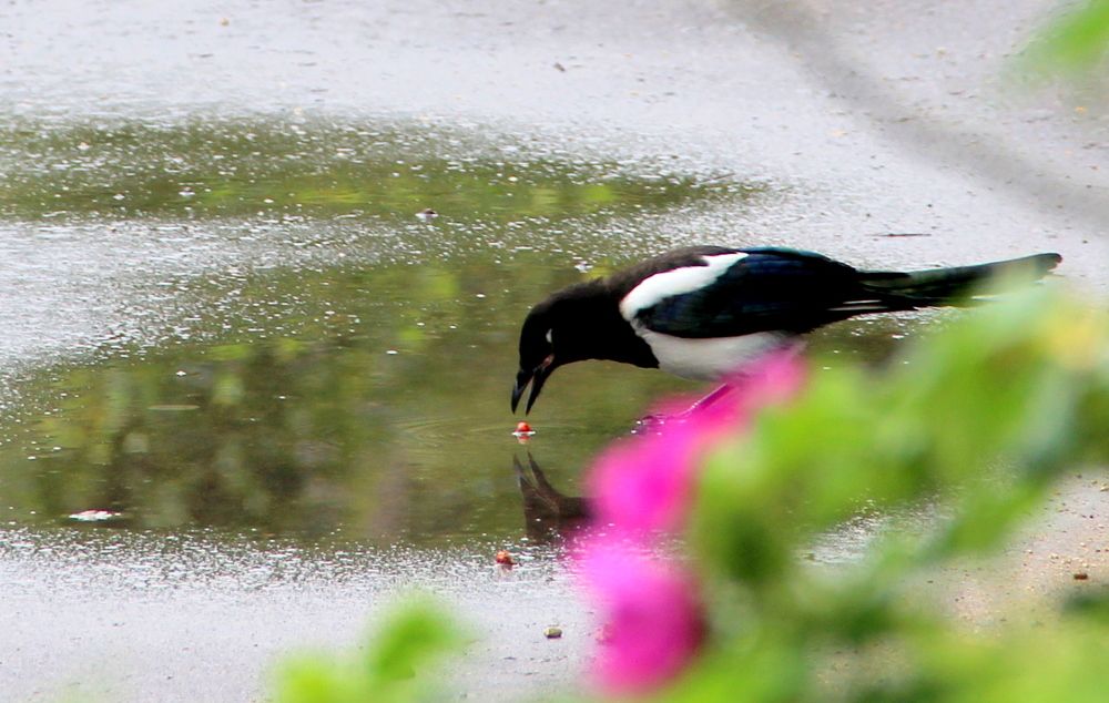 Photograph by Жанна Нечаева