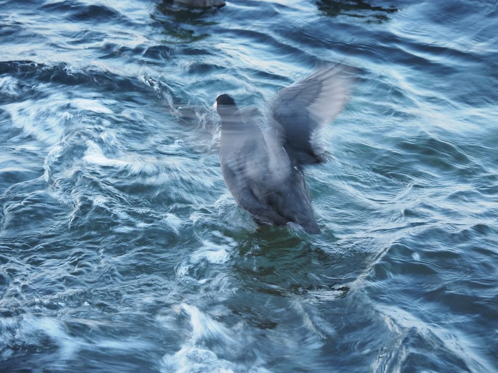 Photograph by Сергей Борисов