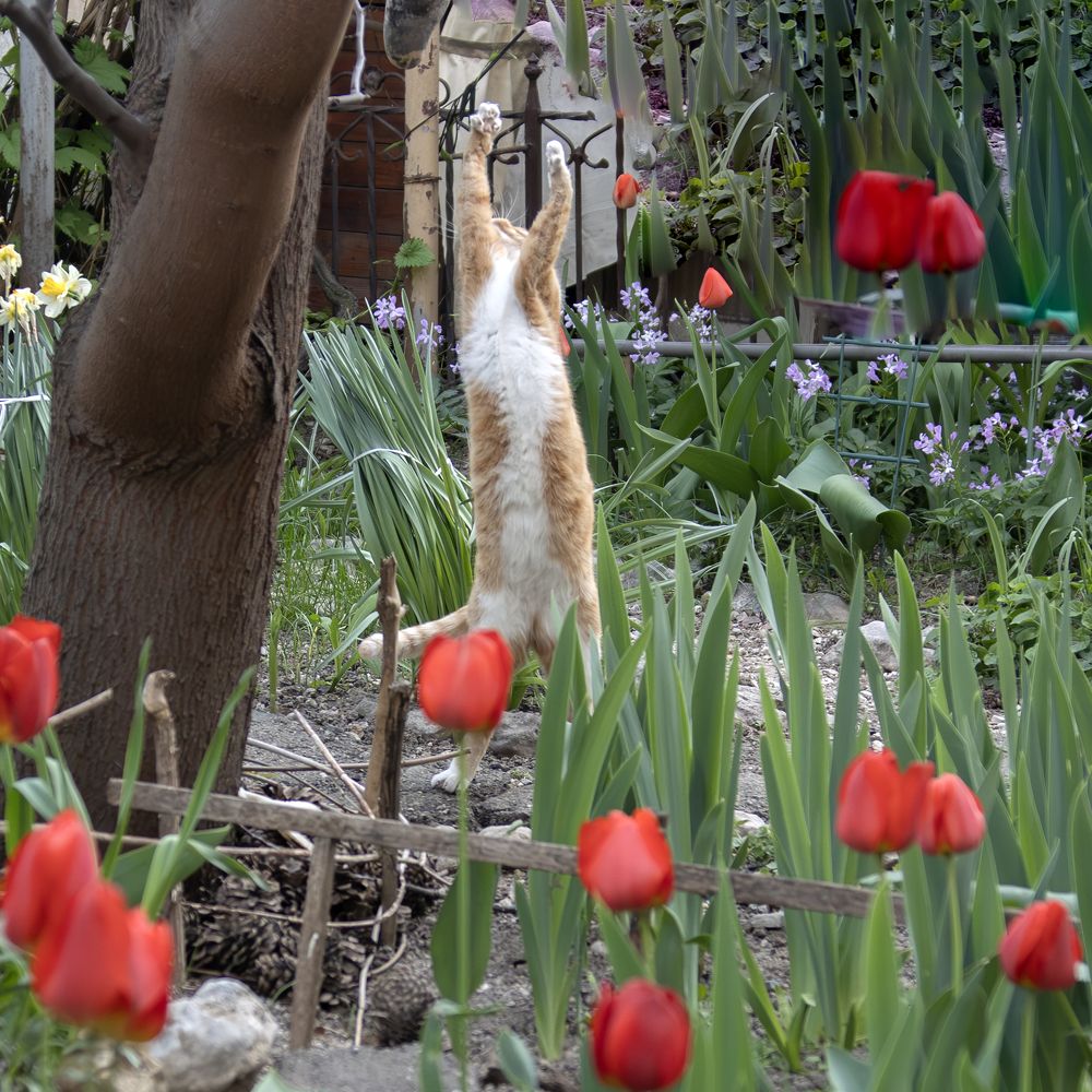 Photograph by Басыров Валерий