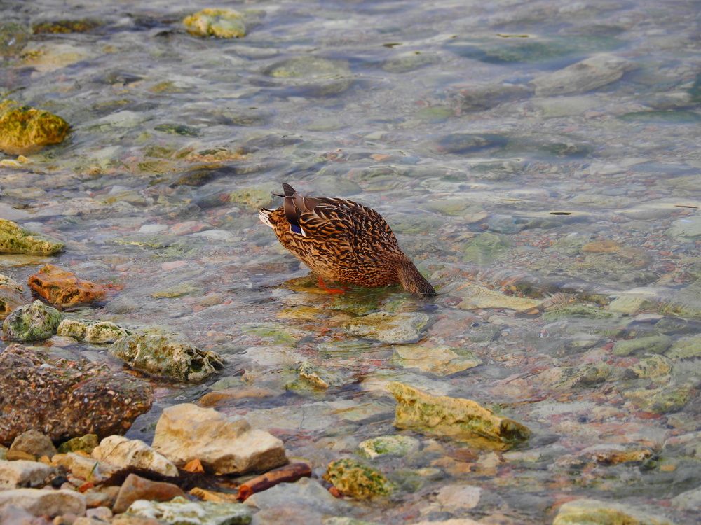 Photograph by Сергей Борисов