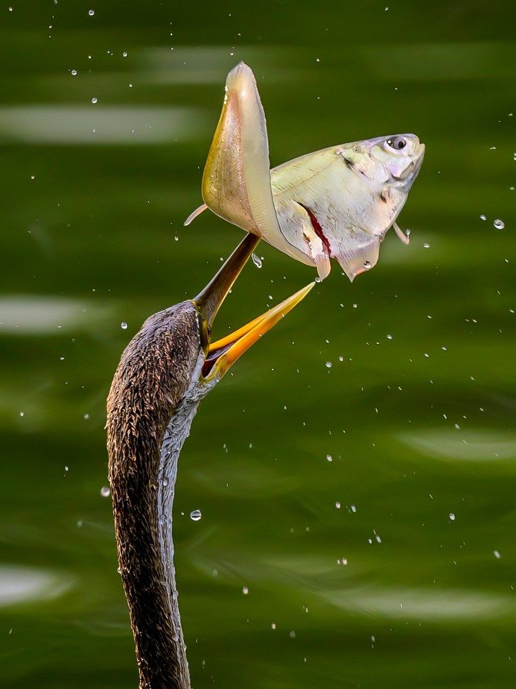 Photograph by Пупонин Сергей