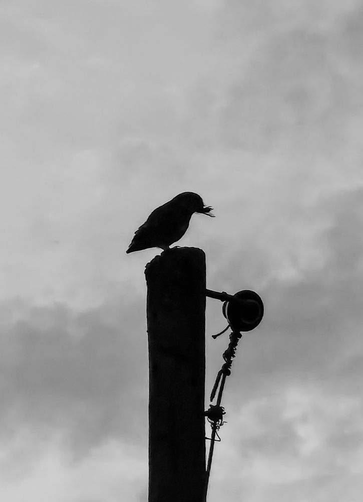 Photograph by Volkan Özdemir