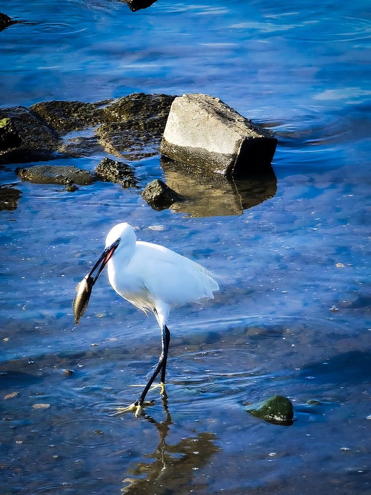 Photograph by Volkan Özdemir