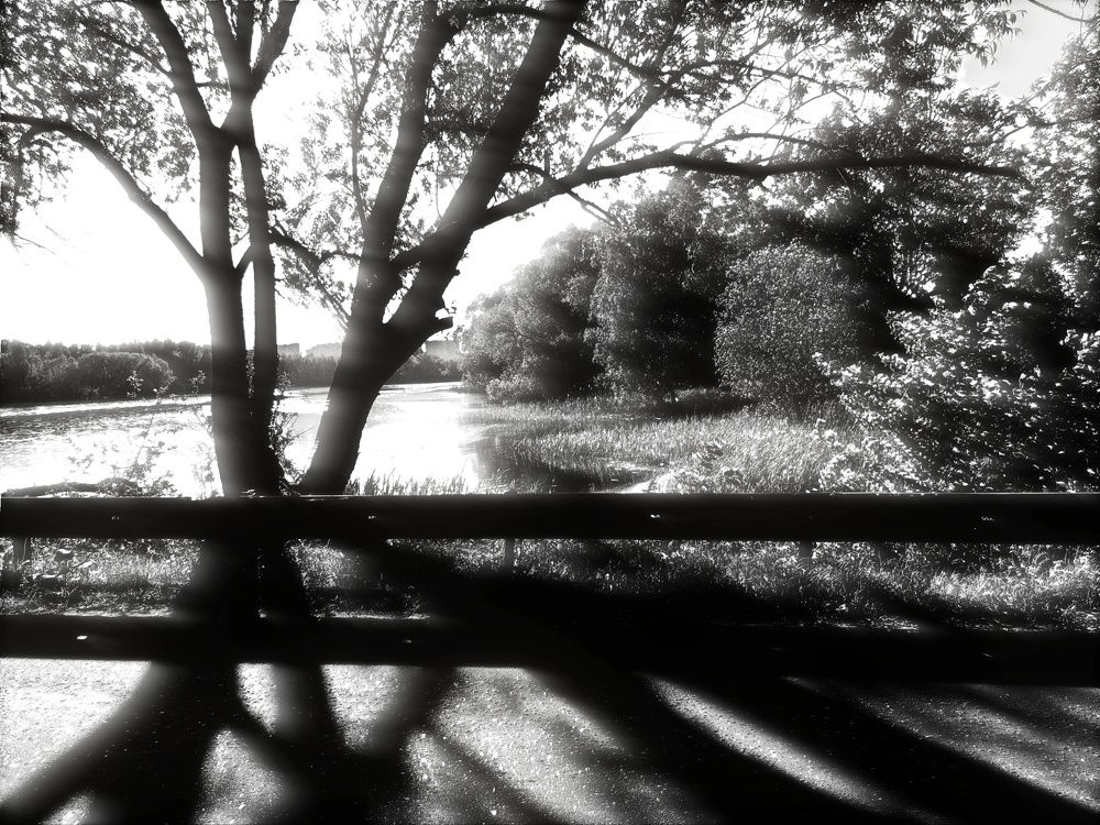 Photograph by Хомастя Настя