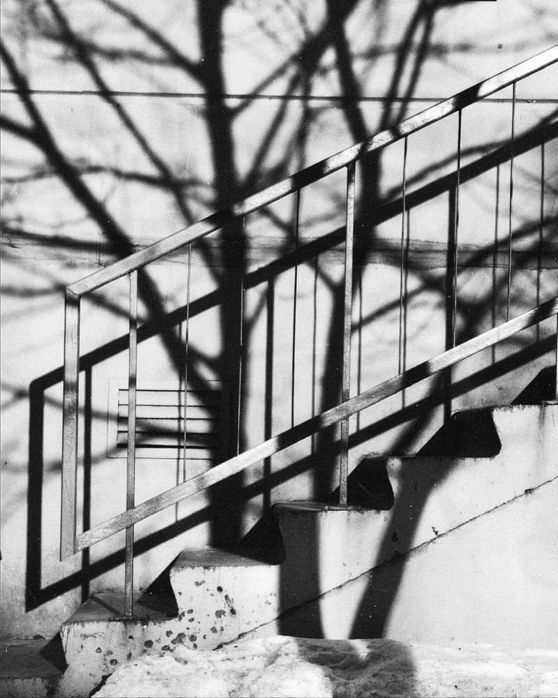 Photograph by Хомастя Настя