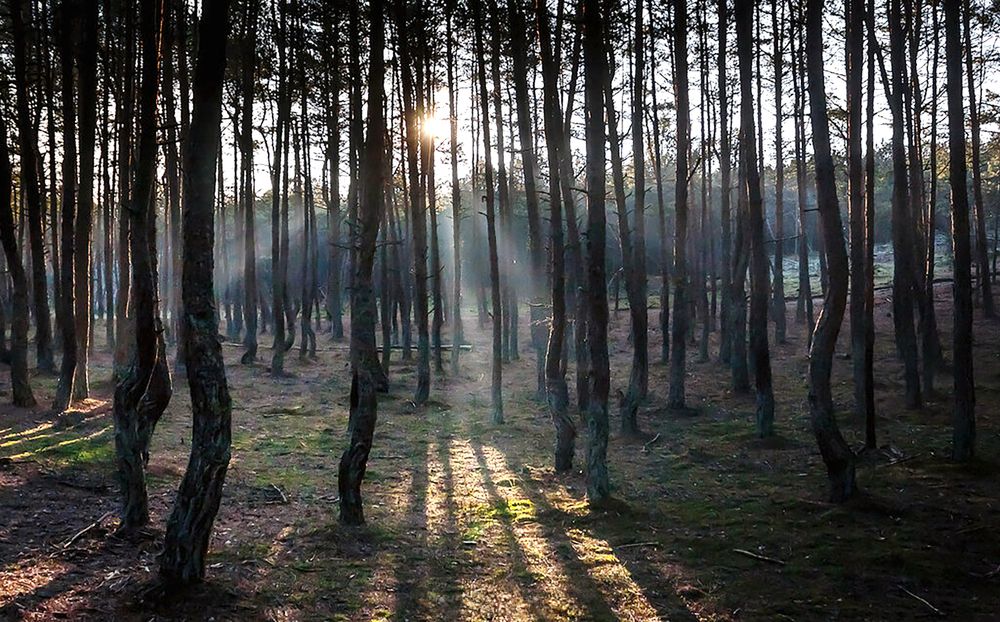 Photograph by Мария Новоселецкая