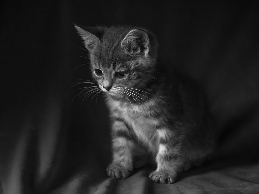 Photograph by Сергей Алексеев