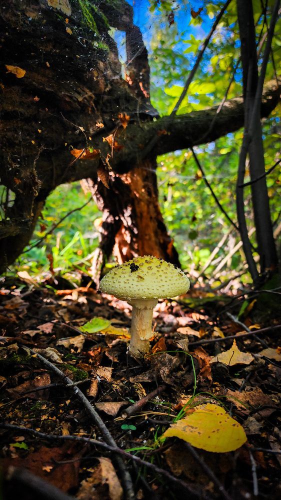 Photograph by Анна Панова