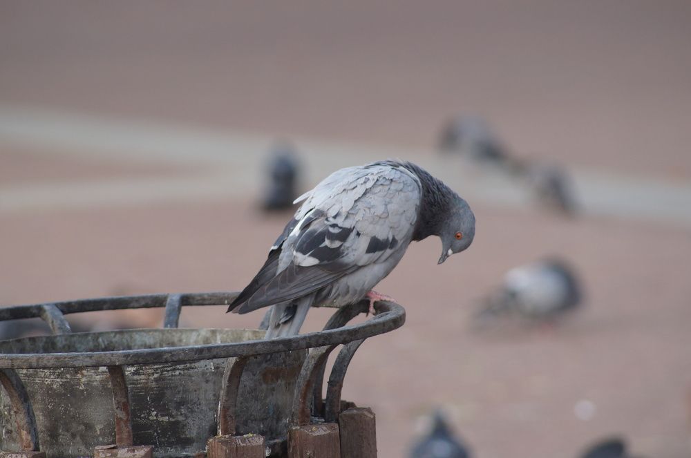 Photograph by Светлана Логинова