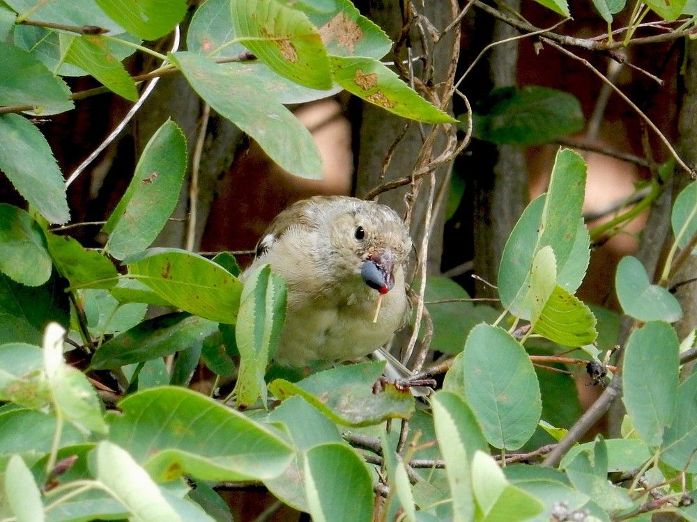 Photograph by Елена Гуляева