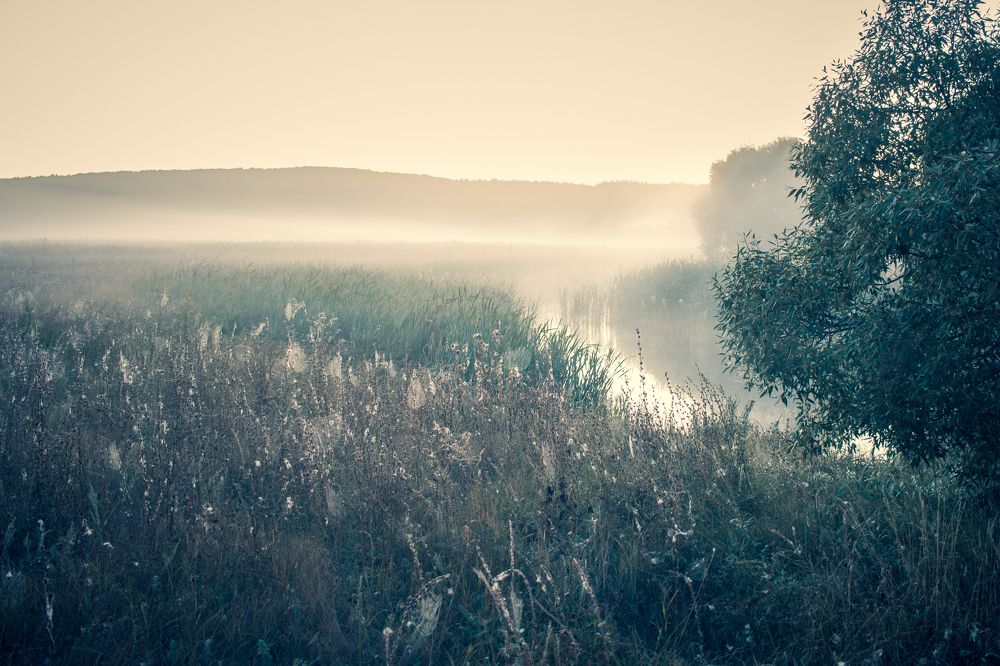 Photograph by Штунь Татьяна