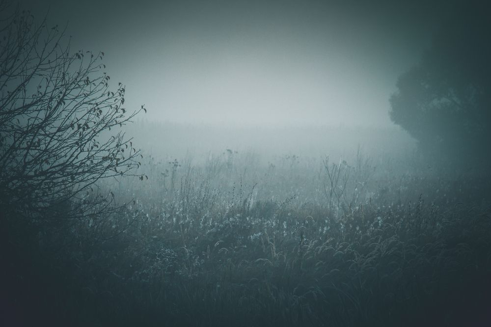 Photograph by Штунь Татьяна