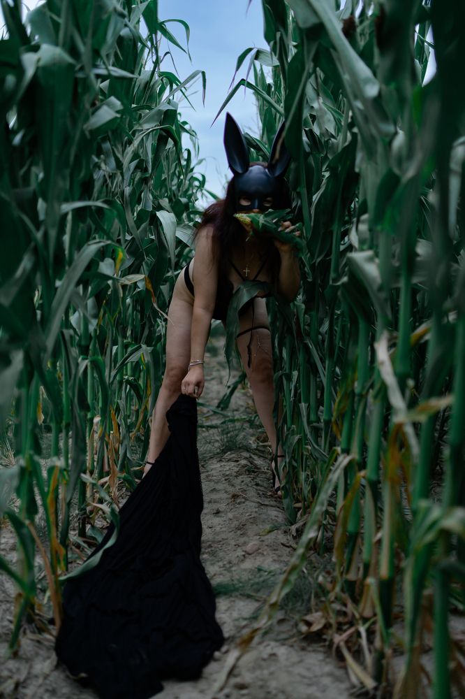 Фотография автора Александр Гилькевич