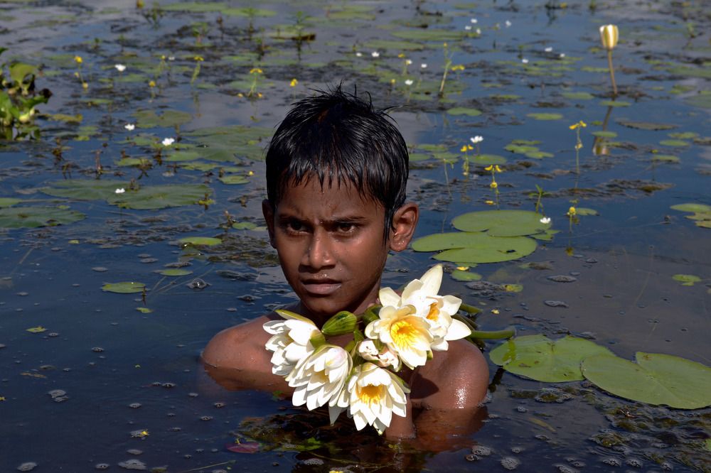 Photograph by Pradipta Dasgupta