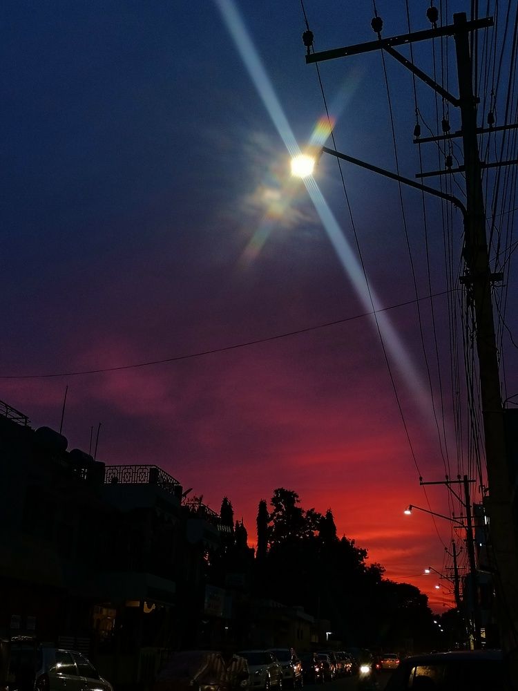 Photo #11030056
