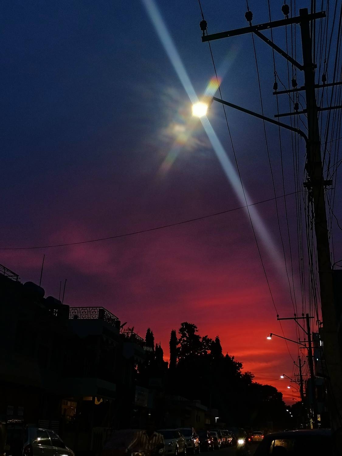 Photo #11030056