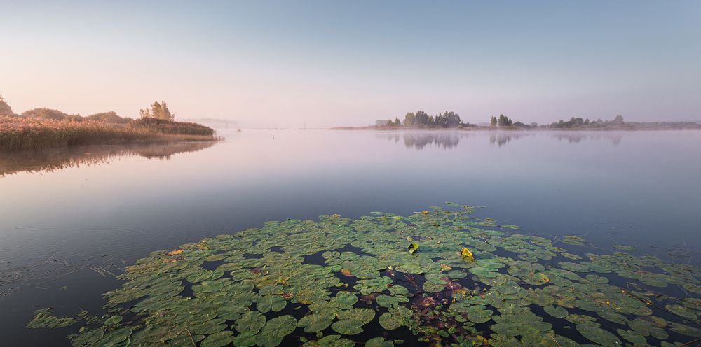 Photograph by Зеленько Дмитрий