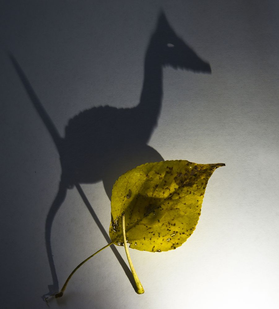 Photograph by Алексей Парамонов