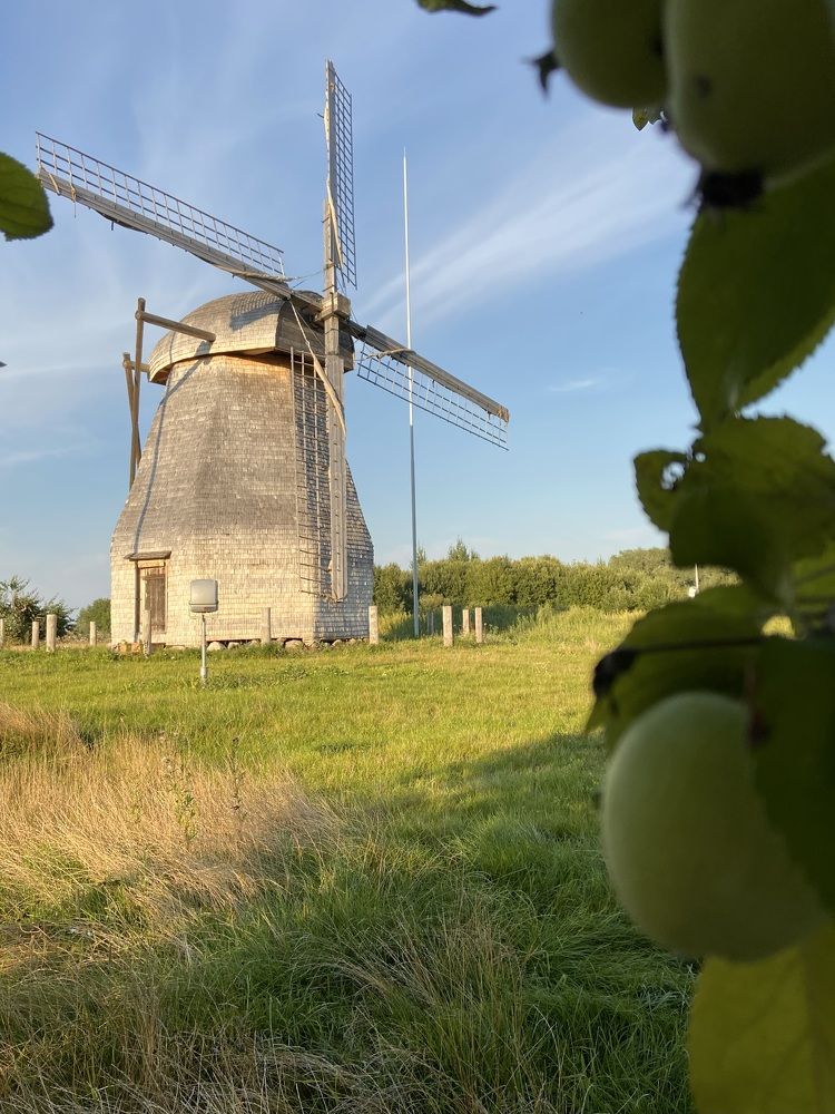 Photograph by Маргарита Миронова