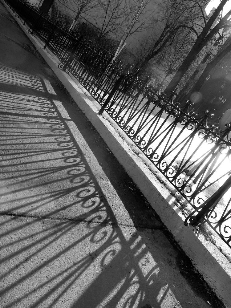 Photograph by Елена Гуляева